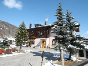 Apartment in Livigno, near the ski area